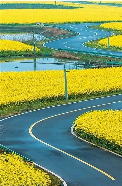 关于公布第一批“政府采购支持公路绿色低碳发展”试点任务的通知